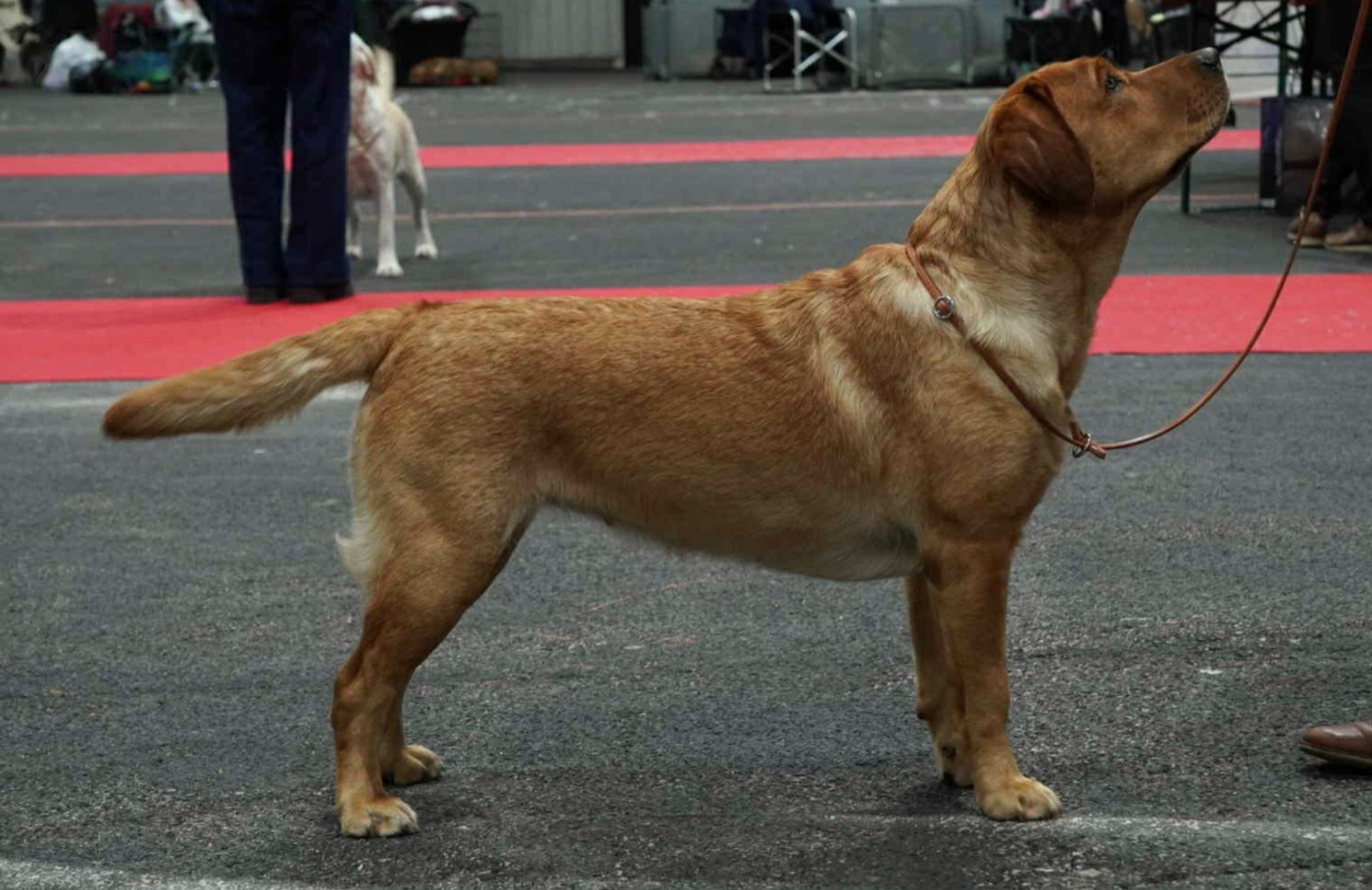 Publication : Du Domaine De Biazak