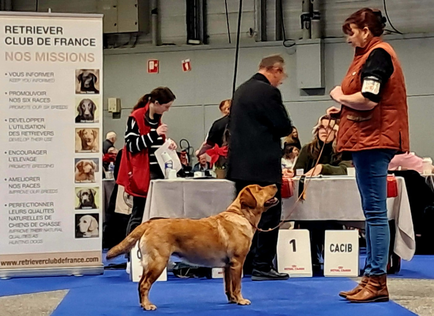 Publication : Du Domaine De Biazak