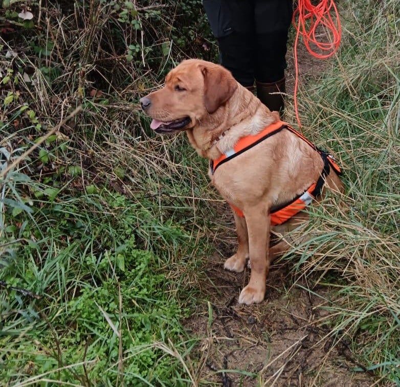 Publication : Du Domaine De Biazak