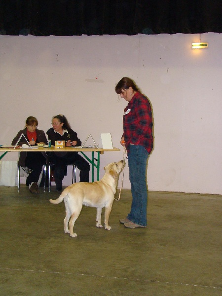 Galak Du Domaine De Biazak - TRES PROMETTEUR cl puppy femelle