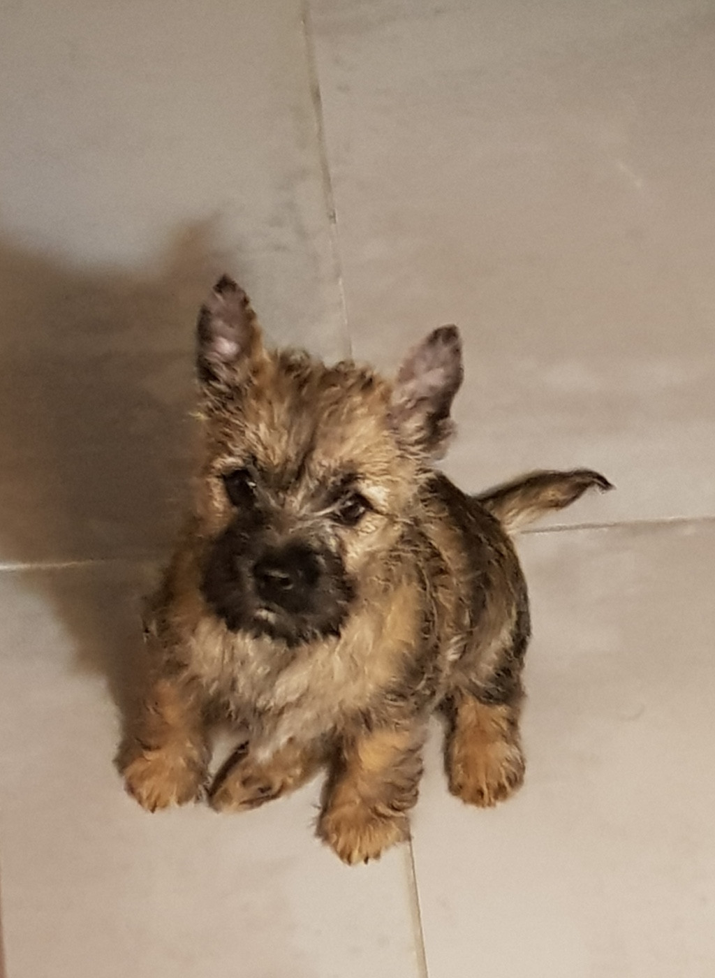 Reve d'elle de Cosédia