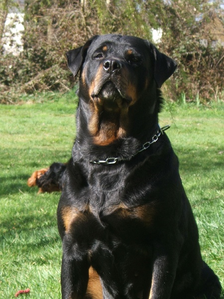 Publication : du puits a loups Auteur : Stéphanie Ferandeau