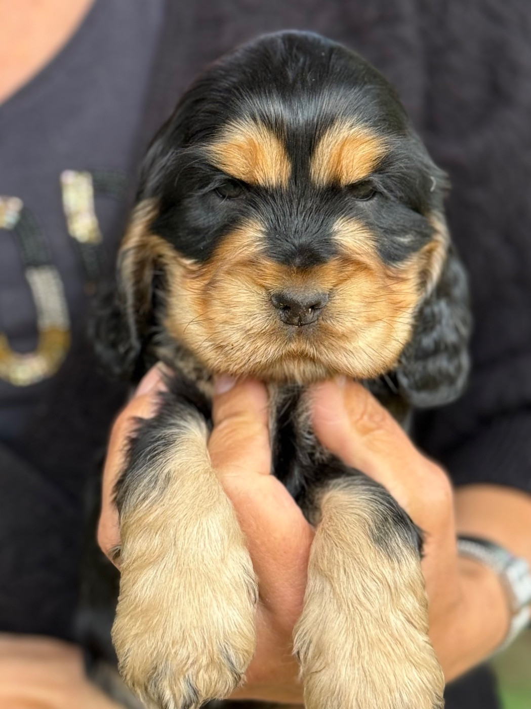 Barbara