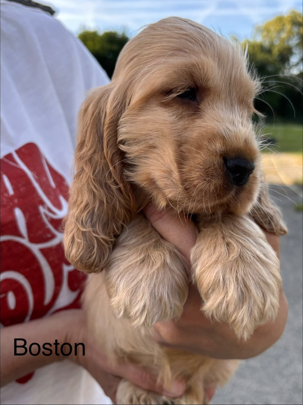 Boston