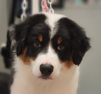 de la Citadelle D'Hermance