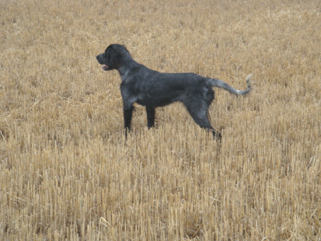 Publication : du Clos Maldav Auteur : Jean Chritophe Piat