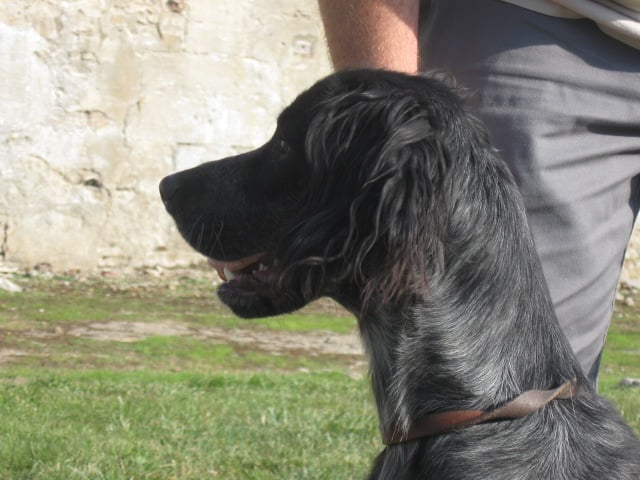 Publication : du Clos Maldav Auteur : Jean Chritophe Piat