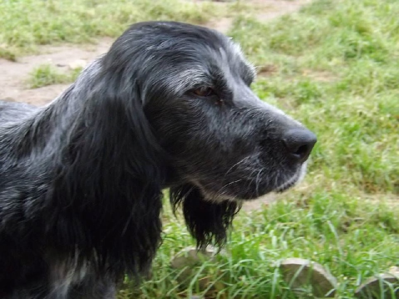 Publication : du Clos Maldav