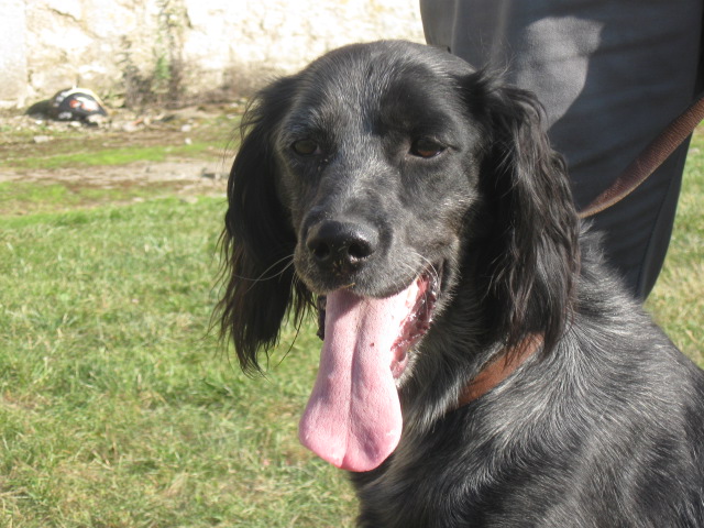 Publication : du Clos Maldav Auteur : Jean Chritophe Piat