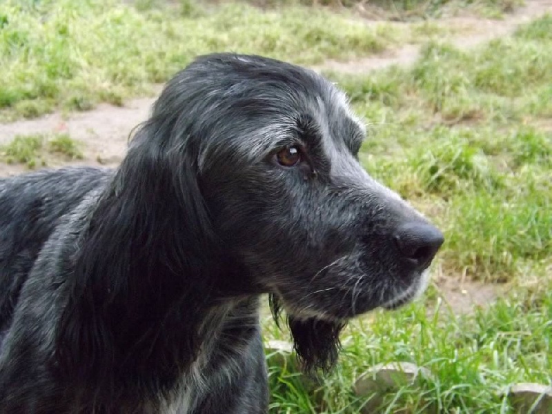 Publication : du Clos Maldav