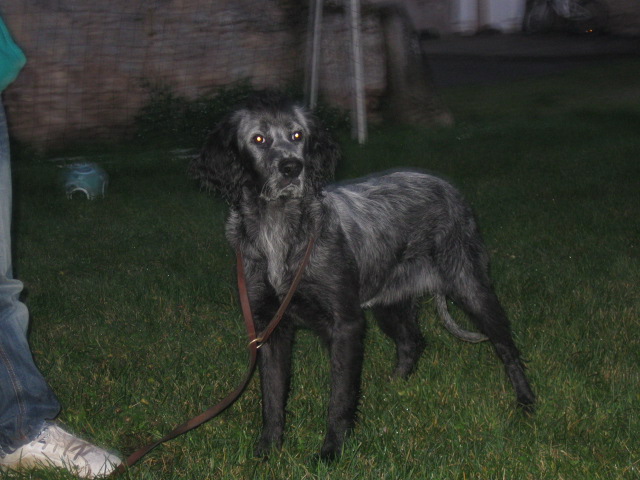 Publication : du Clos Maldav