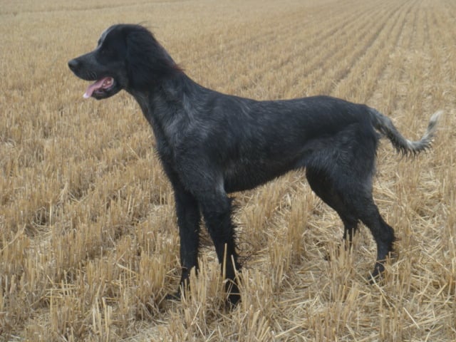 Publication : du Clos Maldav Auteur : Jean Chritophe Piat