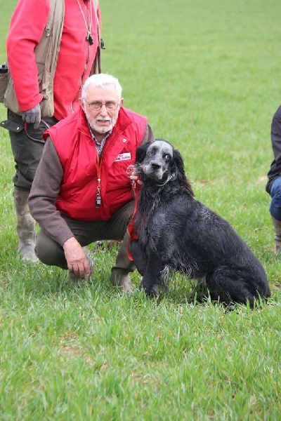 TR. CH. Farouk du Clos Maldav - 1er Excellent classe champion mâle