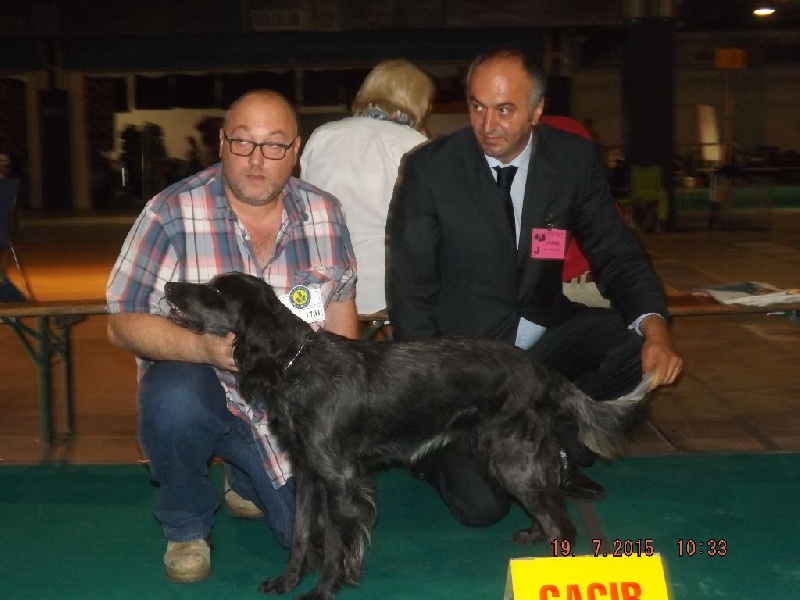 TR. CH. Fan du Clos Maldav - CACS CACIB Meilleur de Race