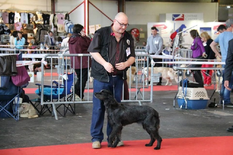 TR. CH. Fan du Clos Maldav - CACIB Meilleur de Race Goupe 7 et 3 eme Meilleur Champion de l'expo