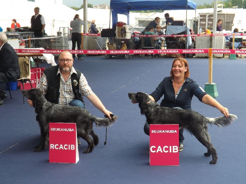 TR. CH. Fan du Clos Maldav - 1ère Excellent classe Champion femelle - RCACIB