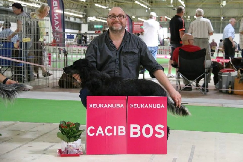 TR. CH. Fan du Clos Maldav - CACIB Meilleur de Race