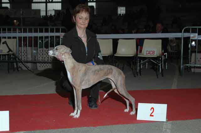 Ushana Du Clos Des Sylphides