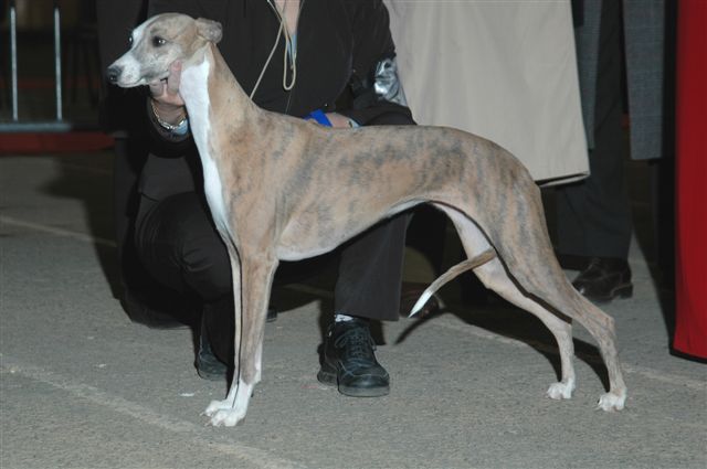 Ushana Du Clos Des Sylphides