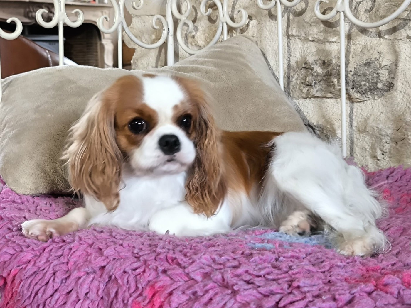 Publication : Du clos kemorick Auteur : Muriel Nau