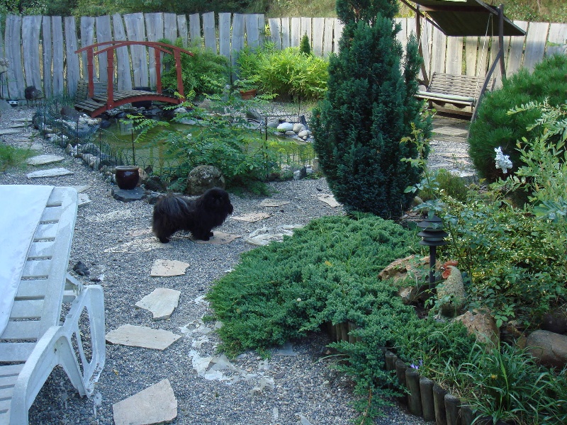 Blue berry Des sables des cotilles