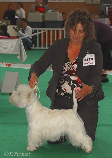 Boucan d'enfer de Willycott