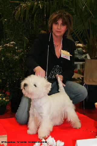 Boucan d'enfer de Willycott