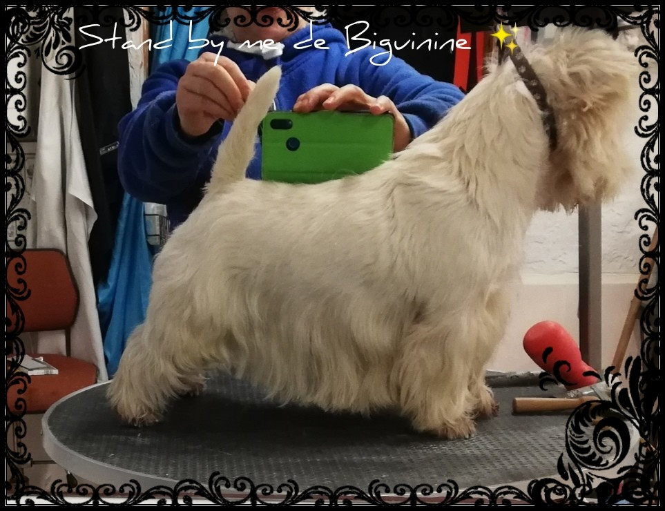 Publication : de Biguinine Auteur : Biguinine