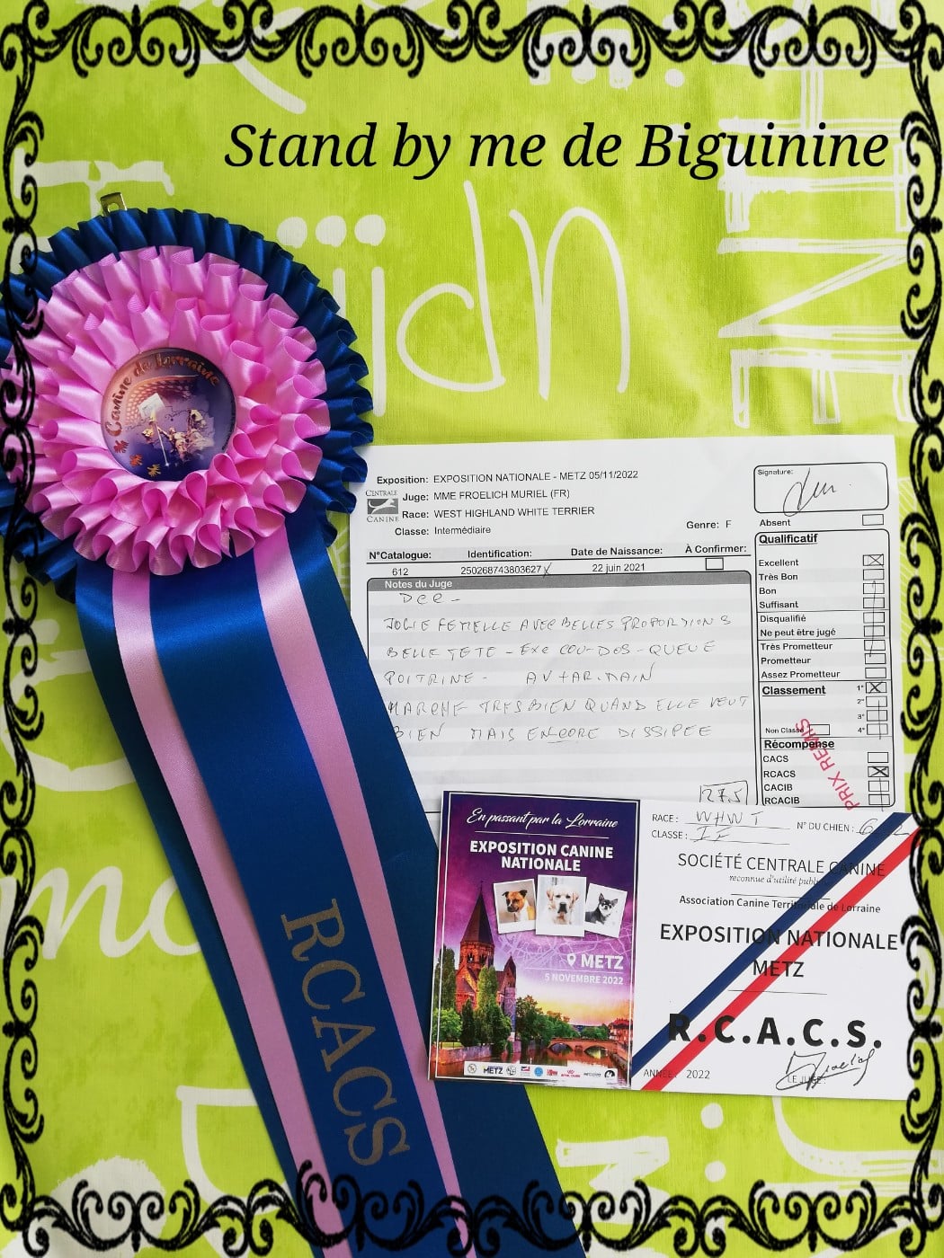 Publication : de Biguinine Auteur : Biguinine