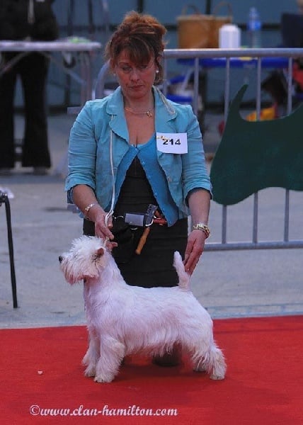 Publication : de Biguinine Auteur : clan Hamilton