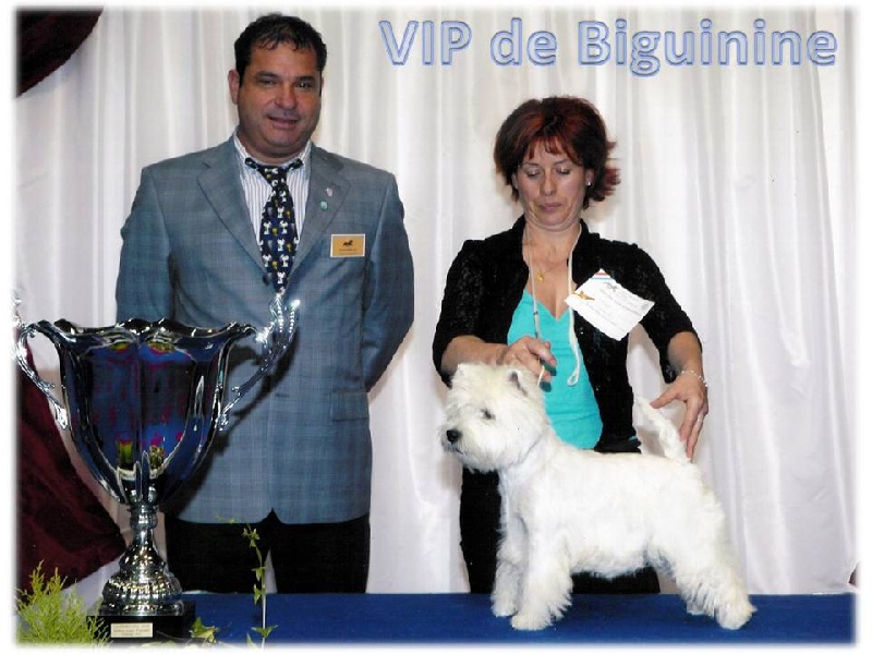 CH. V i p de Biguinine