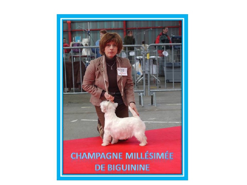 Publication : de Biguinine Auteur : François Picquot