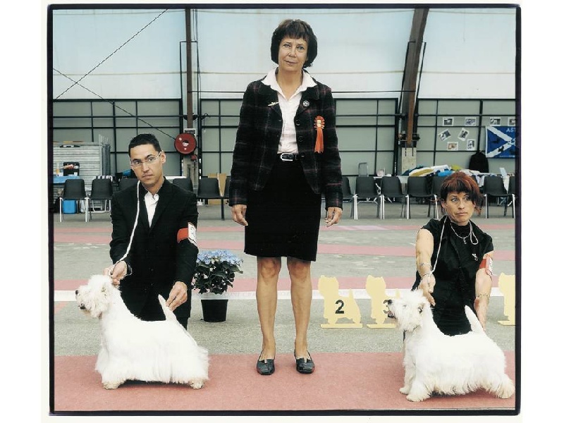 Publication : de Biguinine Auteur : François Picquot