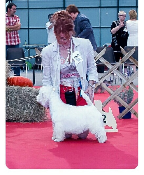 CH. I take it de Biguinine - 2 e excellent Classe jeune