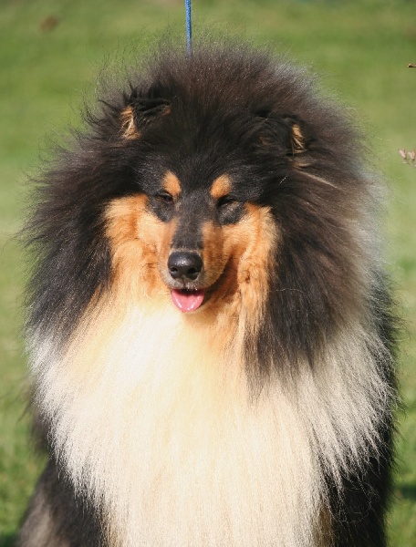 Publication : Du Clos De Seawind Auteur : Imre HORVATH