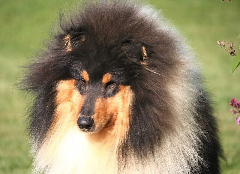 Publication : Du Clos De Seawind Auteur : Imre HORVATH