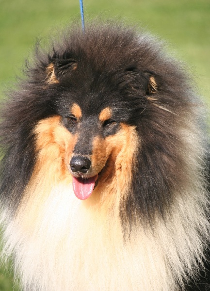 Publication : Du Clos De Seawind Auteur : Imre HORVATH