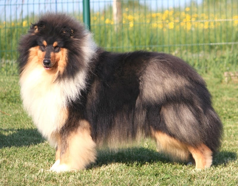 Publication : Du Clos De Seawind Auteur : Imre HORVATH