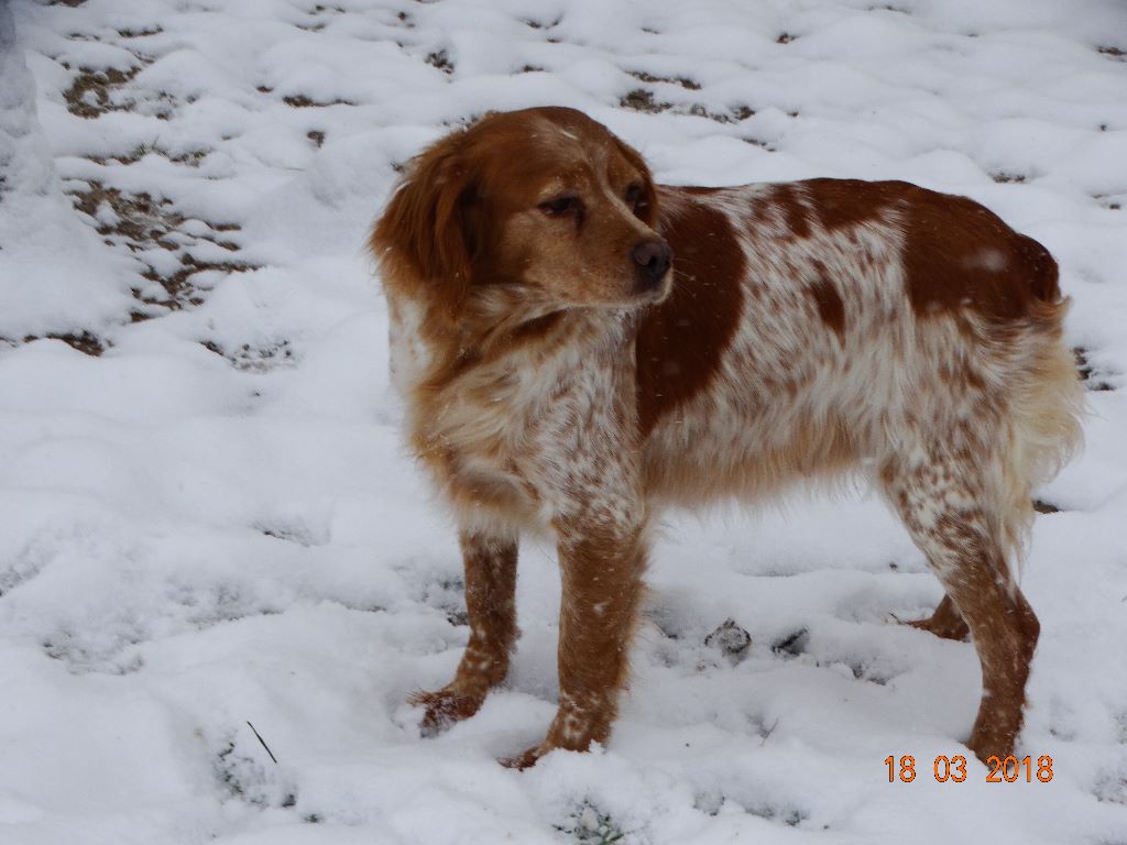 Hulma De La Vallée De La Py