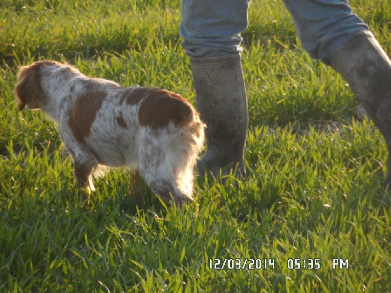 Hulma De La Vallée De La Py