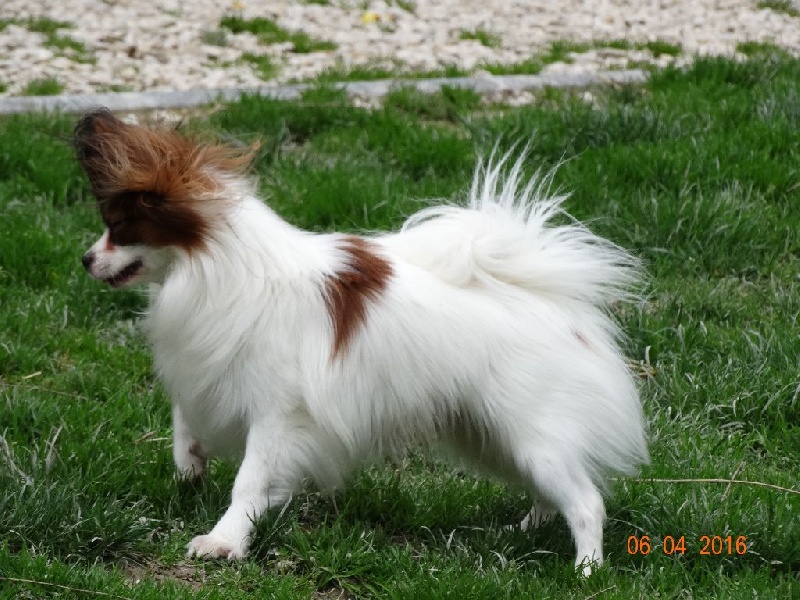 Jepp De La Vallée De La Py