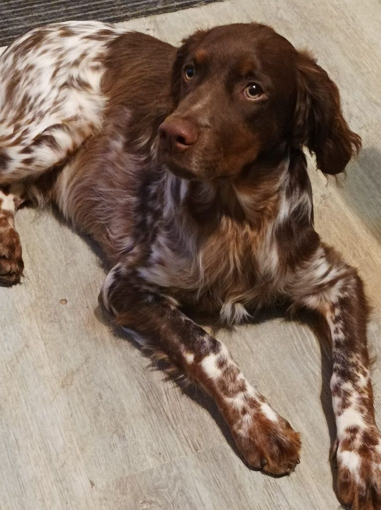 Toto De La Vallée De La Py