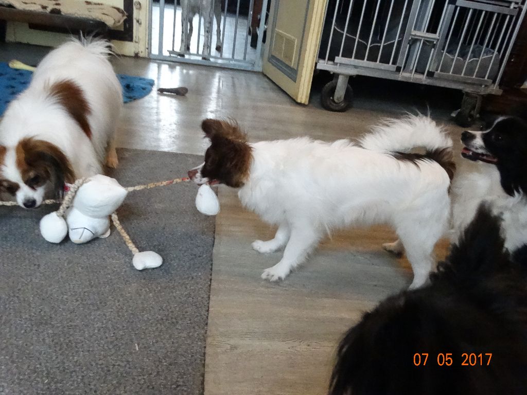 Mirabelle De La Vallée De La Py