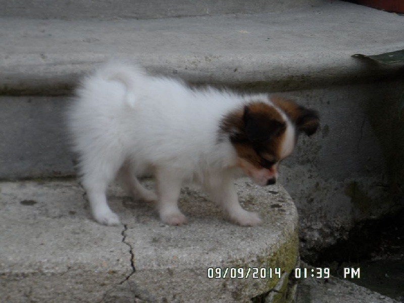 Jepp De La Vallée De La Py