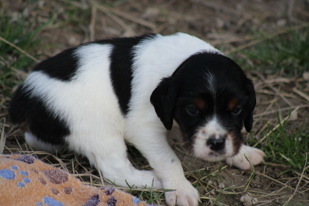 Vidoc De La Vallée De La Py