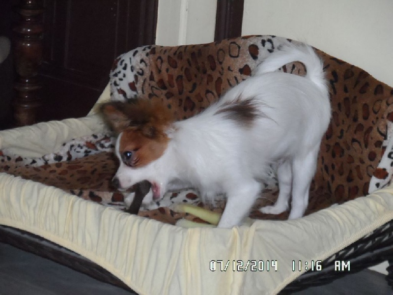 Jepp De La Vallée De La Py