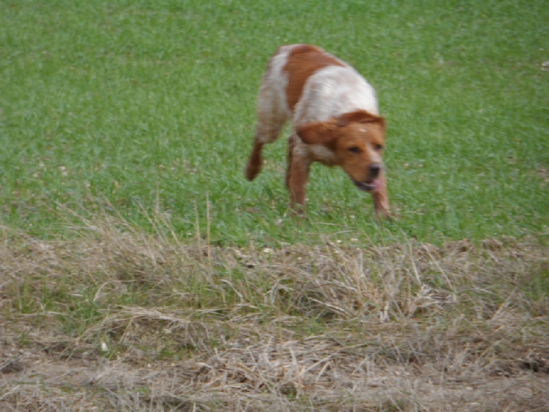 Hulma De La Vallée De La Py