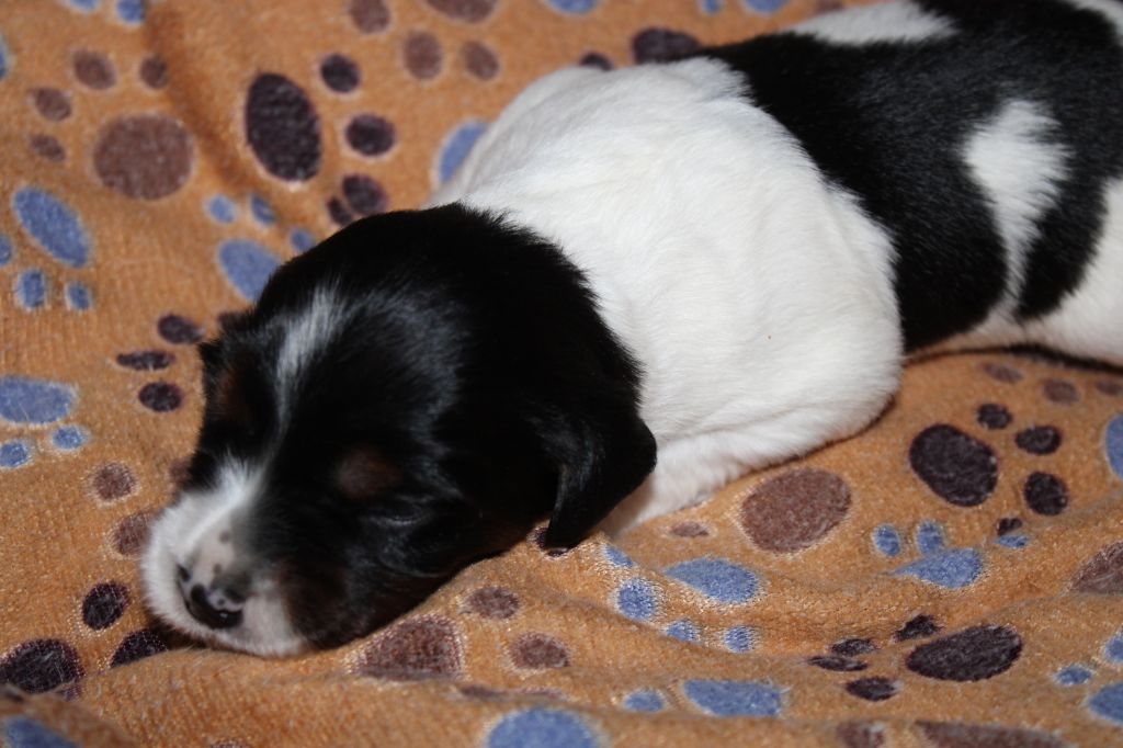 Vidoc De La Vallée De La Py