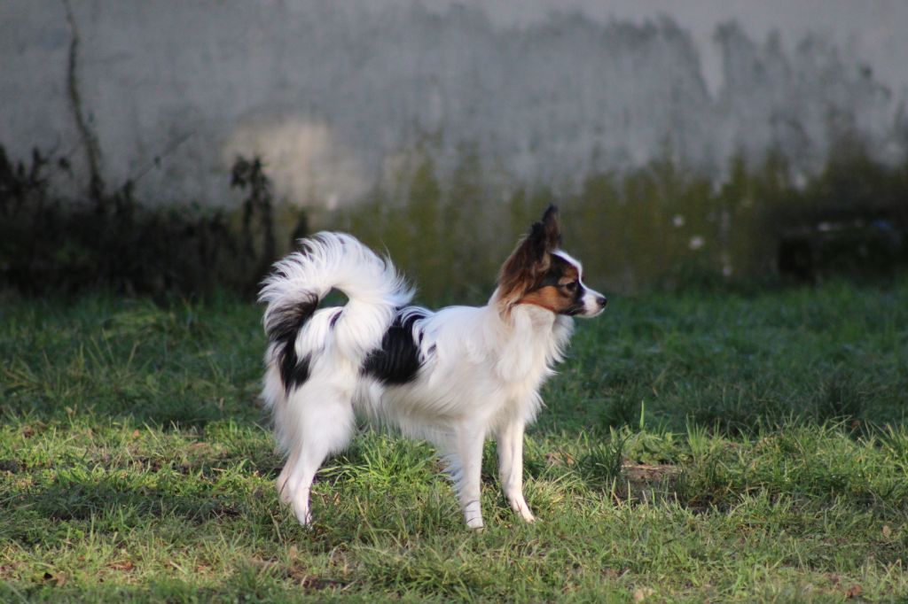 Ricky De La Vallée De La Py