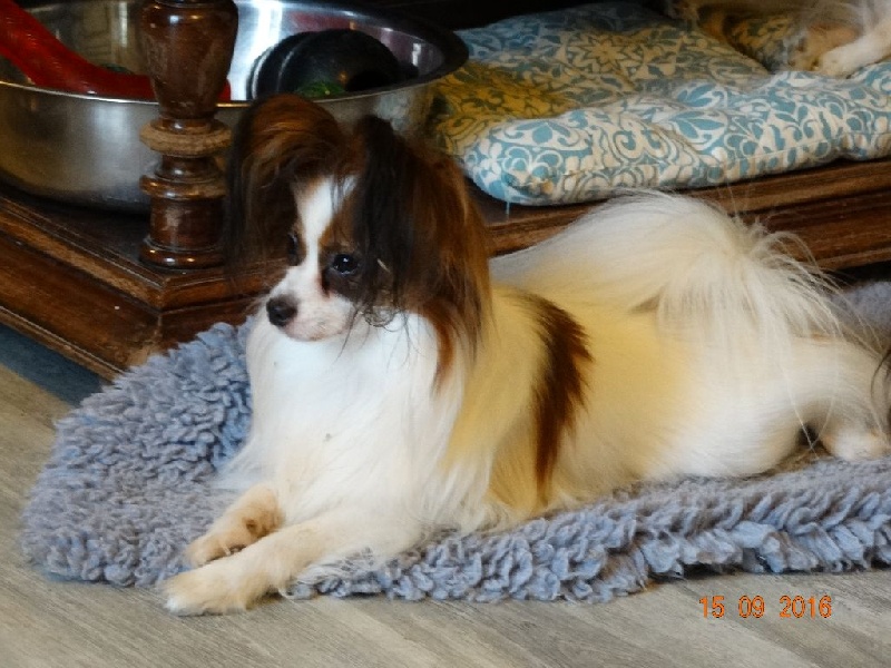 Jepp De La Vallée De La Py